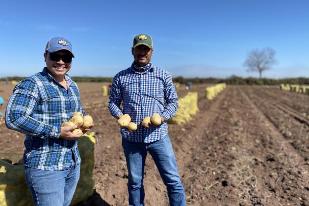 happy potato growers